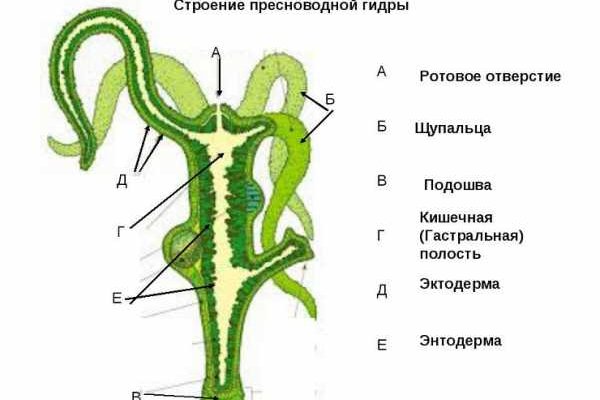 Кракен даркнет войти