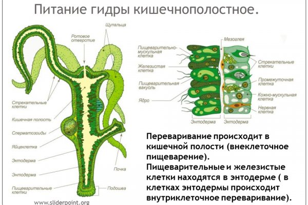 Kra17.cc
