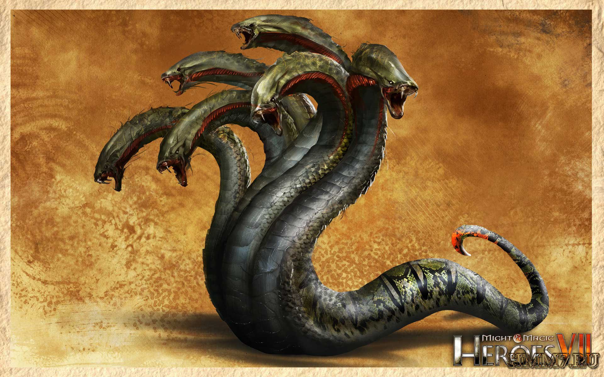 Kraken 16 onion